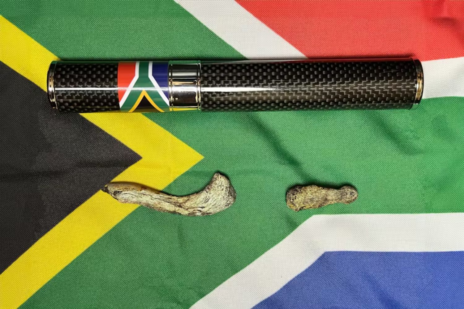 Hominid fossils on south African flag