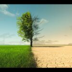 Climate change from drought to green growth