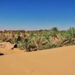 Dunes in Timimun abandoned city in Sahara desert, Algeria, Africa stock photo