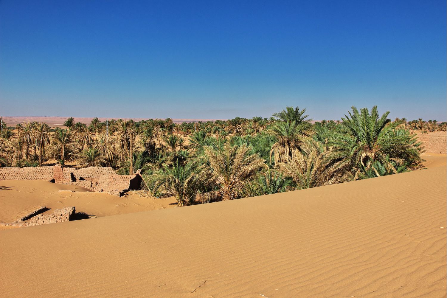 Dunes in Timimun abandoned city in Sahara desert, Algeria, Africa stock photo