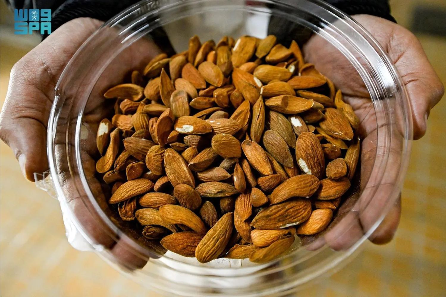 Almonds in Saudi