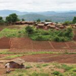 Rural Malawi