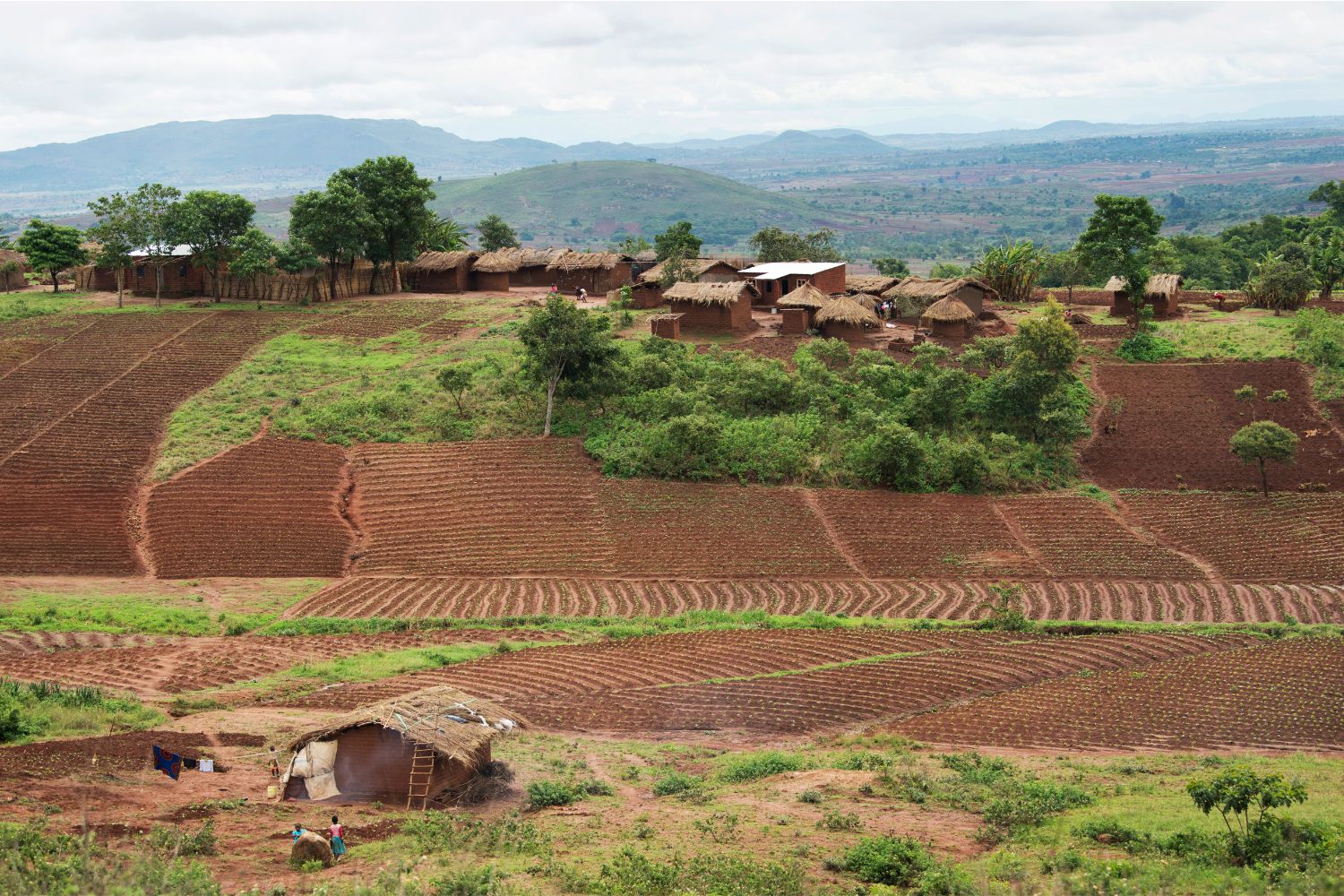 Rural Malawi