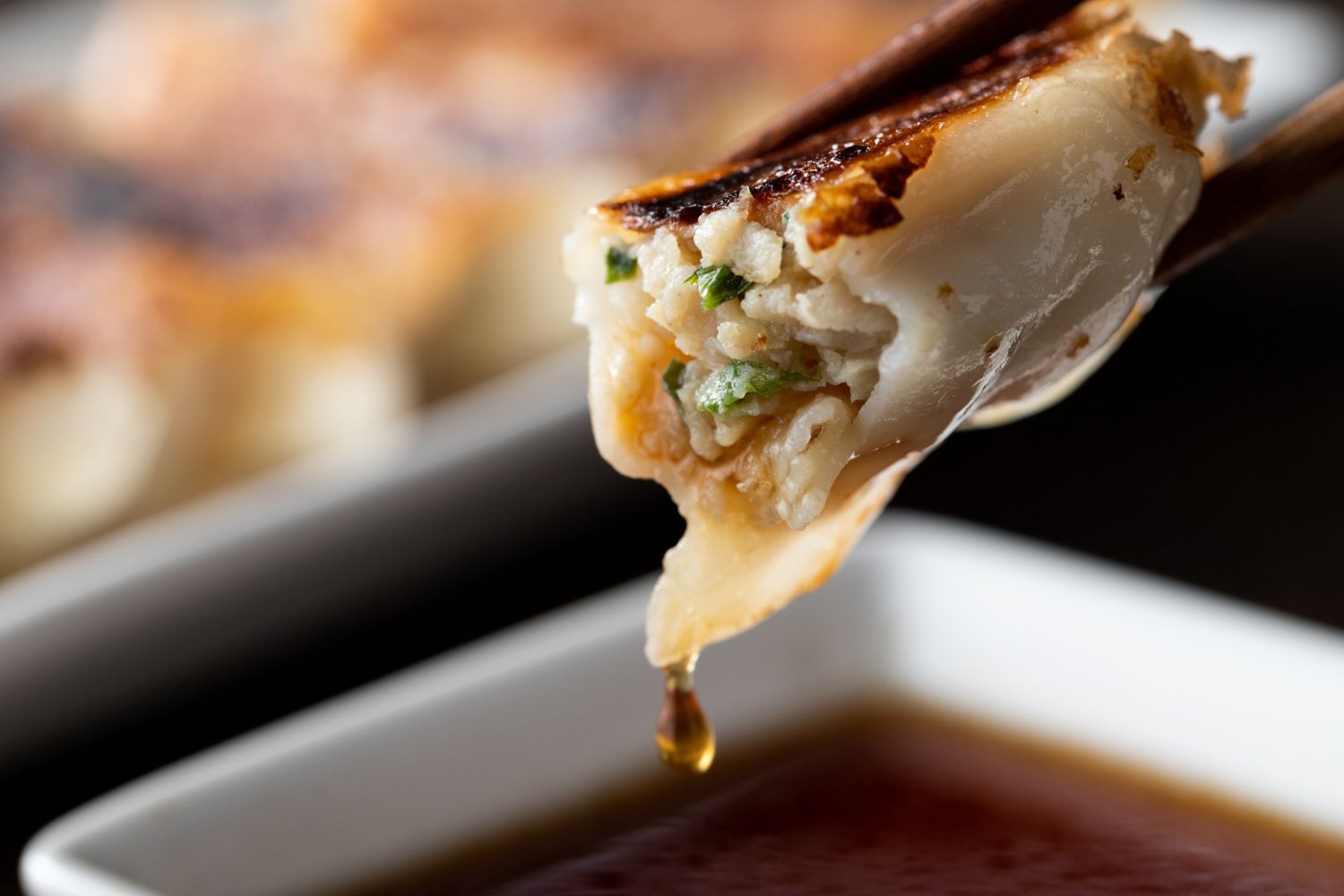 Chicken gyoza