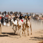 camel racing