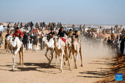 camel racing